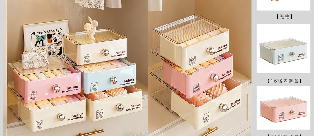 Lingerie Organizer · 8021