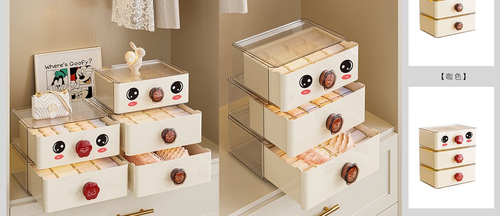Lingerie Organizer · 8180